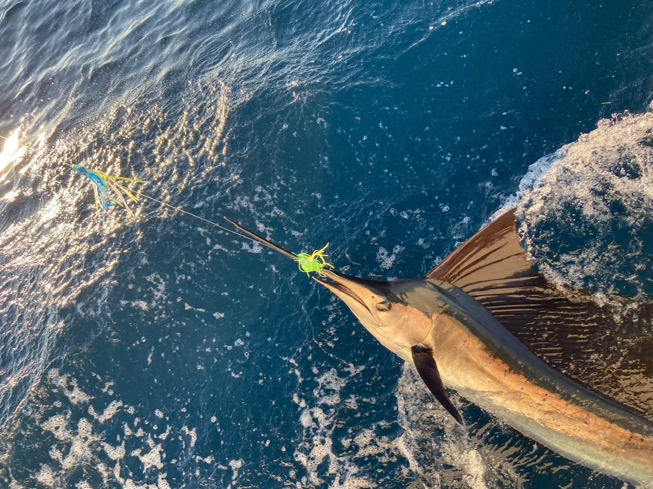 Off Shore Fishing