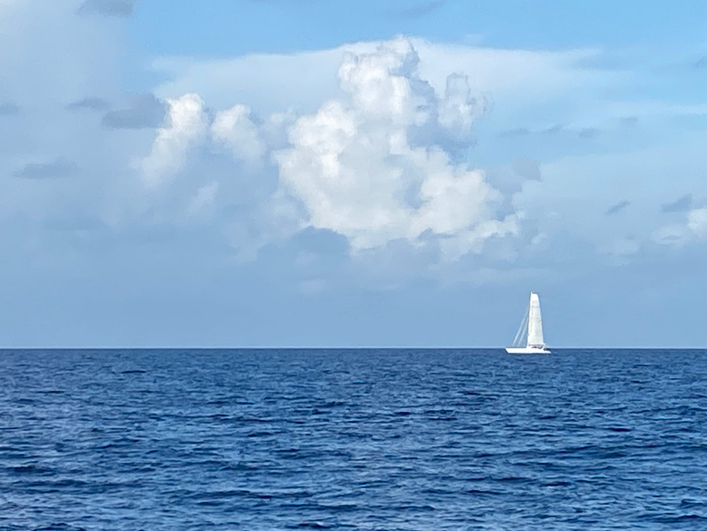 Sailing Cruise