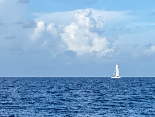 Sailing Cruise