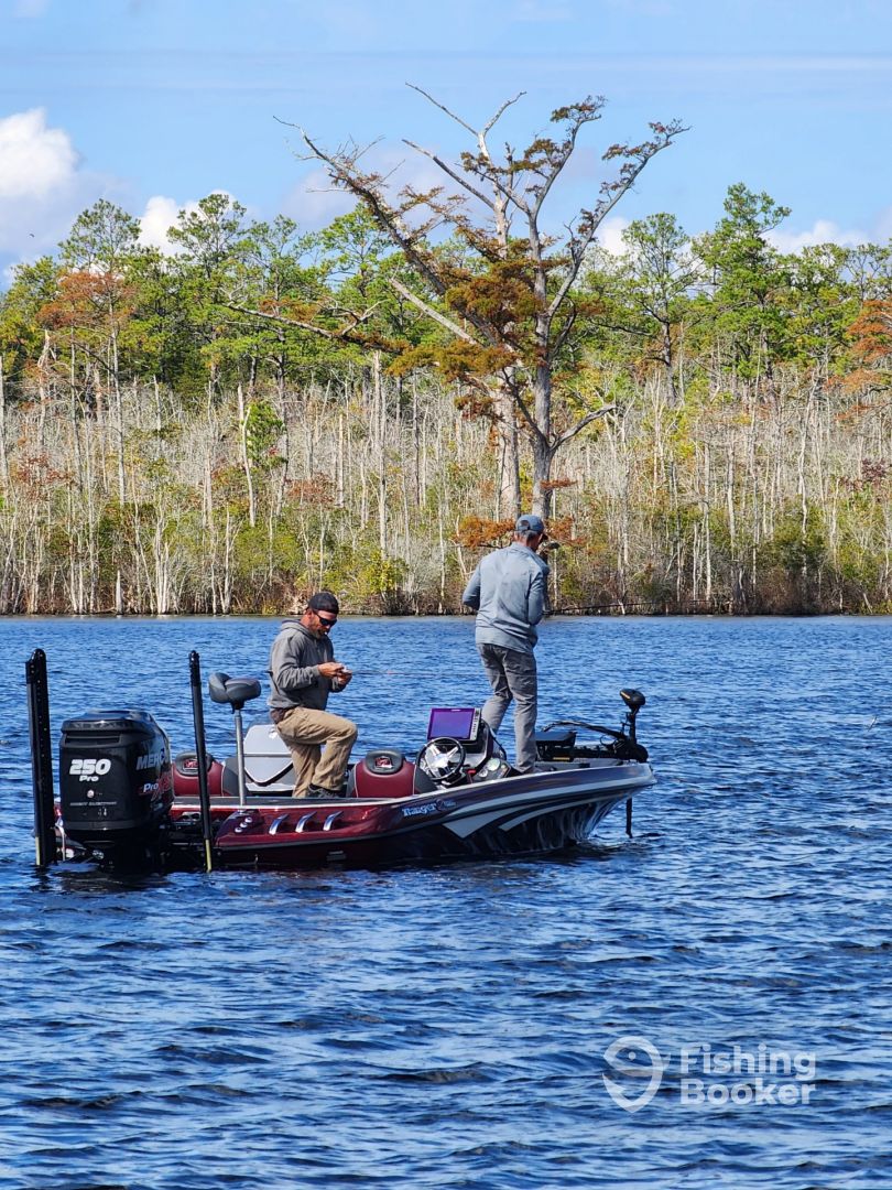 In Shore Fishing
